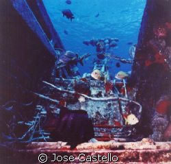 the wreck of this old plane have been colonizing by the s... by Jose Castello 